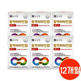 Chong Kun Dang Vitality Vitamin B Plus 360 tablets, 12 months active vitamin B / 종근당 활력 비타민B 플러스 360정 12개월 활성비타민b
