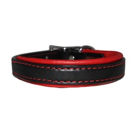 Padded Leather Collar of Size 1 x 26 inches, Classic Flat Style with a Heavy-Duty Stainless-Steel Buckle in Black Tan, Strikingly Elegant Choice for Medium and Large Dogs, Made in The USA