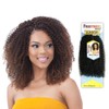 FreeTress Crochet Braids Boho Kinky Jr (3-PACK, 1)