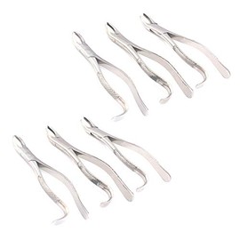 OdontoMed2011 Set Of 6 Dental Extracting Forceps #18L Dental Extraction Instruments ODM