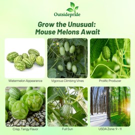 Outsidepride Mouse Melon Seeds - 200 Pcs Melothria Scabra, Mexican Sour Gherkin, Cucumelon, Miniature Watermelon-Like Fruit Plant Seeds, Fast-Growing Annual/Tender Perennial for Gardens