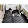 G-Floor for Pets - Protective Floor Covering – Levant 5’x10’