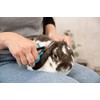 Trixie Face and Paw Scissor for Dog, 9 cm