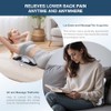 Docemel Back Stretcher for Lower61616161