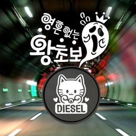 Jeje Deco P_Beginner Soulless Absolute Beginner Reflex+Fuel Cap Maneki-neko Diesel W / P_초보 영혼없는 왕초보 반사+주유구마네키네코 디젤W