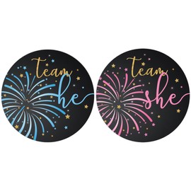 What Will Our Little Firework Be Gender Reveal Party Team He or Team She Stickers - 40 Stickers, Little Firecracker Gender Reveal