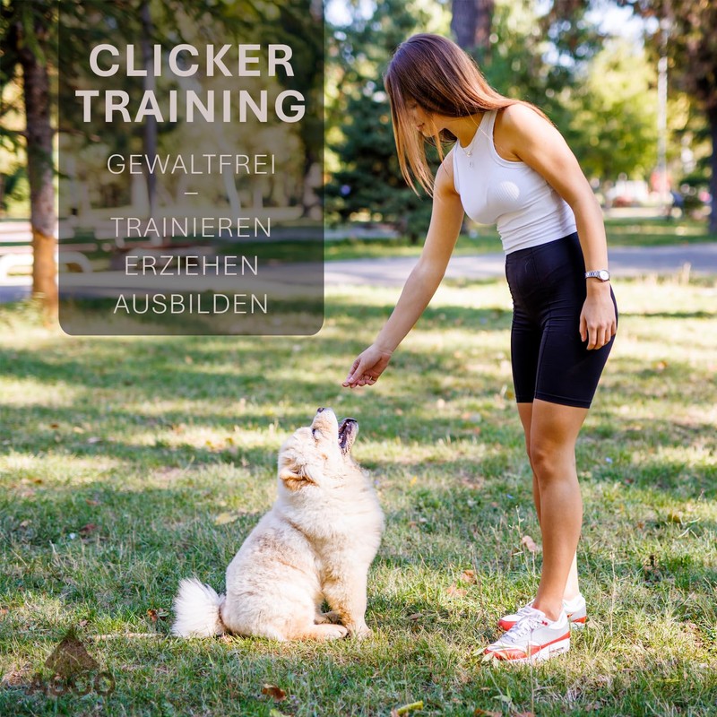 ASCO premium clicker, finger clicker for clicker training, for dogs,