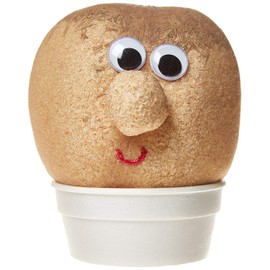 Keycraft Mr Grass Head Toy