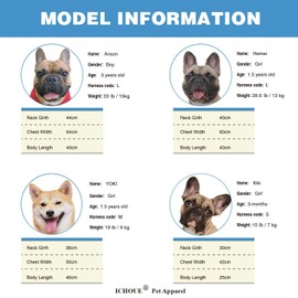 iChoue Dog Harness and Leash Set Easy On and Off Adjustable Harness Paired with Matched Dog Leash - Blue L