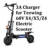 coming data 🔥AC Adapter 5A battery Charger For Teewing 60v