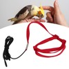 Bird Leash Bite Resistant Adjustable Parrot Flying Training Rope for