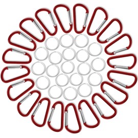 20 pcs Carabiner Clip Keychain 1.8" Aluminum D-Ring Spring Keychains Hooks Small Keychain Carabiners Clip Set for Camping Mini Lock Hooks Snap Link Durable Improved Design Carabineer (Red)