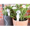 Royal Gardineer Watering Cones Tone: Potted Plant Watering System with