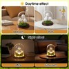 HEWYIOS Light Up Hole in One Golf Ball Display Case，Can