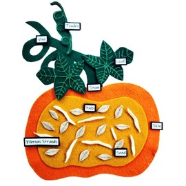 Parts of a Pumpkin Felt Set/Pumpkin Anatomy Felt Set/Pumpkin Unit Study/Fall Unit Study/Homeschool Unit Study/Montessori Science