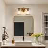 Mecgirn Brushed Gold Bathroom Vanity Light Over Mirror, 2 Light