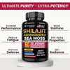Dr.WellMe Shilajit Ashwagandha Sea Moss with Ginseng, Ginkgo Biloba &