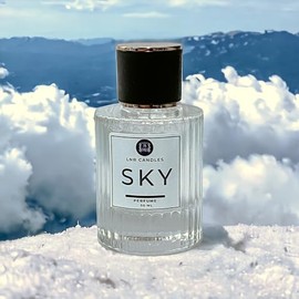 LNB Candles Sky Perfume Clean Ingredients Inspired by Cloud Made In USA 50 ML Decorative Bottle Gorgeous Scent Non GMO Vegan