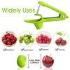 Cherry Pitter, Cherry Stoner Remove Cherry Core with Stainless Steel