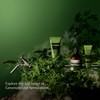 Aesop Body Care 16.67 Oz Geranium Leaf Body Balm For