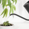 Stainless Steel Watering Can Pot Retro Small Plant Watering Can