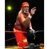 Champion 8x10 Photo HULK HOGAN WWE Wrestling WWF Champion