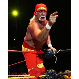 Champion 8x10 Photo HULK HOGAN WWE Wrestling WWF Champion