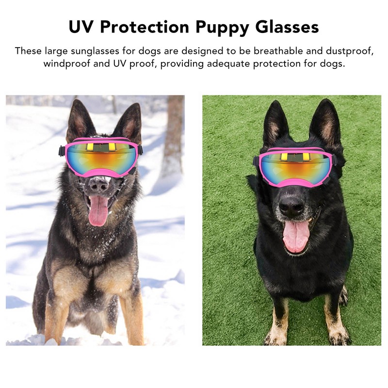 Dog Sunglasses UV Protection PC Windproof Comfortable Ventilate Pet Sunglasses