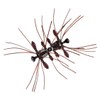 Daiwa STEEZ Quad Force Scuppernong Bass Worm