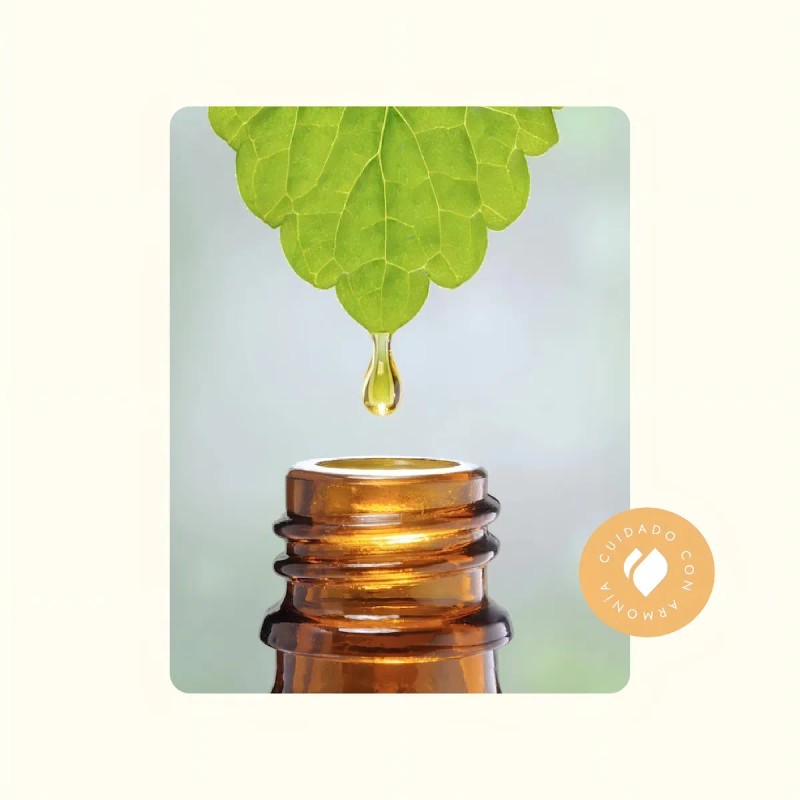 Extracto Glicólico De Caléndula Concentrado 4x, 100% Puro