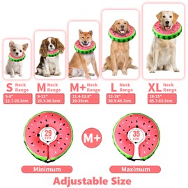 Dog Cone Collar, FWLWTWSS Inflatable Dog Collar Buster Collars for Dogs and Cats, Soft Comfy Protective Recovery Collar Adjustable Dog Donut Collar for After Surgery, Does not Block Vision(M+)
