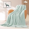 BEAUTEX Fleece Throw Blanket for Couch Sofa or Bed Throw