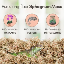 Mossify Premium Sphagnum Moss for Plants 50g, 1.8 Oz - Long Fiber Moss for Plants Indoor, Orchids, Terrariums, Gardening, Reptiles – Moisture Plant Moss for Propagation, Soil & Habitat Bedding