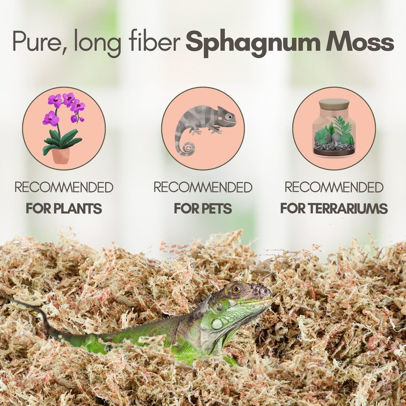 Mossify Premium Sphagnum Moss for Plants 50g, 1.8 Oz -