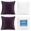 Nestl Throw Pillow Inserts Pack of 2 with Velvet Soft