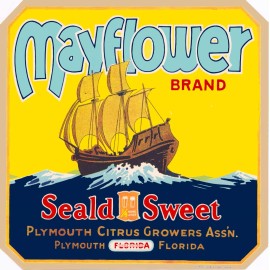 Mayflower Plymouth Florida Mayflower Thanksgiving Orange Citrus Fruit Crate Label Print 2