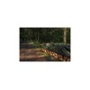 Tarp Parent Tarpaulin with Eyelets (2 x 3 m, Camo)