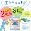 オリヒロ 乳酸菌濃縮顆粒 (ラクトフェリン配合) 1.0g×16包