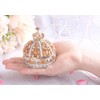< Blue Crown > Pierce Jewelry Box Jewelry Box