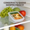 Mypicompany. Set of 2 Cheese Containers - Clear Plastic Food