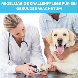 Tiertastisch Nail Clippers for Dogs and Cats, Professional Claw Cutter with Safety Lock and Safety Lock, Claw Care for Home, Ergonomic Claw Clippers with Sharp Blades