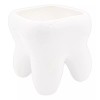 Muna Maceta Forma Muela Consultorio Dentista Odontólogo Grande