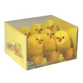 Rayher 8737400 Chicks Made of Silk Chenille 5 cm PVC Box of 6