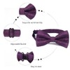 Alizeal Mens Party Paisley Pre-tied Bow Tie, Pocket Square and