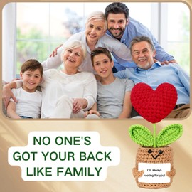 Emotional Support Plush Heart for Mom Dad Daughter Son Sister Friends Coworkers, Positive Crochet Flowers, Inspirational Birthday Graduation Gift, Appreciation Gifts (I'm Always Rooting for You)