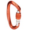 Mountaineering D Locking Carabiner Clips Alloy Heavy Duty Carabiner for