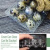 QIUMING 12 Grid Quail Egg Boxes Quail Egg Boxes Quail