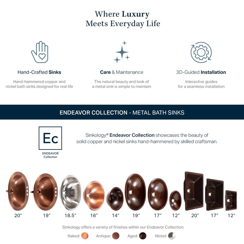 Schrodinger Copper 19" Oval Dual Flex Bath Sink with Care