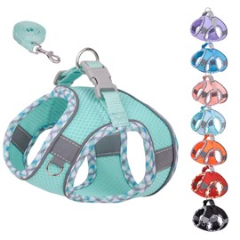 KUVEELA PET Harness, Lead Set, For Small Dogs and Cats, Medium Dogs, Towing Rope, Bib, Torso, Dog Wear, Includes Reflective Light Strip, Mesh, Stylish, Adjustable, Easy to Put On and Take Off (Green,