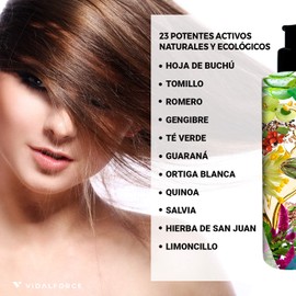 PURIFY. Shampoo for oily hair. 100% natural and 81% ecological. Clean hair for days, greasy hair shampoo for men and women